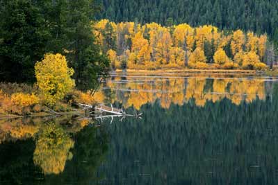 2036_Reflections Snake River